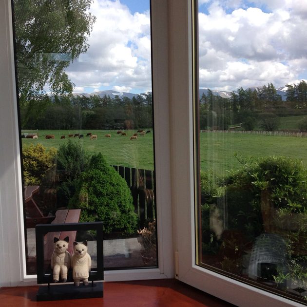 View from the conservatory